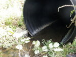 Culvert Crossing, Little River at Tufts Rd, Belfast, Maine