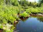 Culvert Crossing, Little Schoodic Stream at Pleasant River Rd, Medford, Maine