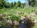 Culvert Crossing, Little Schoodic Stream at Unnamed, Medford, Maine