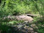 Culvert Crossing, Little Schoodic Stream at Unnamed, Medford, Maine