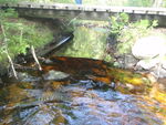 Culvert Crossing, Little Smith Brook at Millinocket Lake, T3 Indian Purchase Twp, Maine