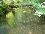 Culvert Crossing, Little Trout Brook at Cushman Pond Rd, Lovell, Maine