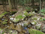 Culvert Crossing, Little Trout Brook at Cushman Pond Rd, Lovell, Maine