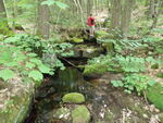 Culvert Crossing, Little Trout Brook at Cushman Pond Rd, Lovell, Maine
