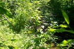 Culvert Crossing, Littlefield Brook at Goshen Road, Winterport, Maine