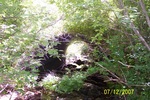 Culvert Crossing, Littlefield Brook at Goshen Road, Winterport, Maine