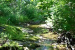 Culvert Crossing, Littlefield Brook at Goshen Road, Winterport, Maine