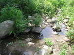 Culvert Crossing, Littlefield Brook at Monroe Road, Winterport, Maine