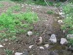 Culvert Crossing, Littlefield Brook at Monroe Road, Winterport, Maine