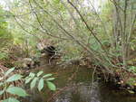 Culvert Crossing, Lively Brook at Pleasant Pond Rd, Turner, Maine