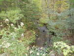 Culvert Crossing, Lively Brook at Pleasant Pond Rd, Turner, Maine