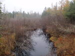 Culvert Crossing, Lively Brook at Route 1, Whiting, Maine