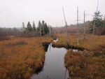 Culvert Crossing, Lively Brook at Route 1, Whiting, Maine
