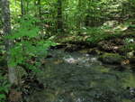 Culvert Crossing, Lombard Brook at Sodom Rd, Norway, Maine