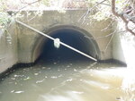 Culvert Crossing, Long Creek at I-95, South Portland, Maine