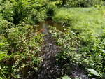 Culvert Crossing, Long Meadow Brook at Lake Rd, Stow, Maine