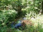 Culvert Crossing, Long Meadow Brook at Lake Rd, Stow, Maine