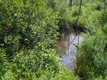Culvert Crossing, Lords Brook at Unknown, Eliot, Maine