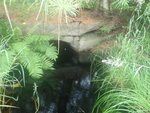 Culvert Crossing, Lovers Brook at Guinea Rd, Berwick, Maine