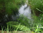 Culvert Crossing, Lovers Brook at Guinea Rd, Berwick, Maine