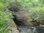 Culvert Crossing, Lovers Brook at Route 4, Berwick, Maine