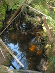 Culvert Crossing, Lurvey Brook at Western Mountain Rd, Tremont, Maine