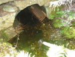 Culvert Crossing, Lurvey Brook at Western Mountain Rd, Tremont, Maine