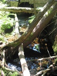 Culvert Crossing, Lurvey Brook at Western Mountain Rd, Tremont, Maine