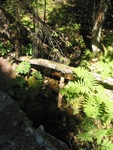 Culvert Crossing, Lurvey Brook at Western Mountain Rd, Tremont, Maine