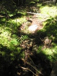 Culvert Crossing, Lurvey Brook at Western Mountain Rd, Tremont, Maine