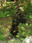 Culvert Crossing, Lurvey Brook at Western Mountain Rd, Tremont, Maine