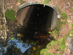 Culvert Crossing, Lurvey Brook at Western Mountain Rd, Tremont, Maine