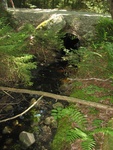 Culvert Crossing, Lurvey Brook at Western Mountain Rd, Tremont, Maine