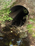 Culvert Crossing, Lurvey Brook at Western Mountain Rd, Tremont, Maine