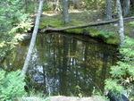 Culvert Crossing, Lurvey Spring at Echo Beach Rd, Southwest Harbor, Maine