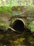 Culvert Crossing, Lurvey Spring at Echo Beach Rd, Southwest Harbor, Maine