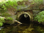 Culvert Crossing, Lurvey Spring at Echo Beach Rd, Southwest Harbor, Maine
