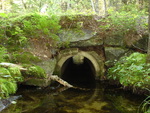 Culvert Crossing, Lurvey Spring at Echo Beach Rd, Southwest Harbor, Maine