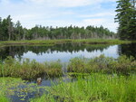 Culvert Crossing, Mack Brook at Beaver Trail, Meddybemps, Maine