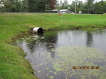 Culvert Crossing, Magotty Meadow Brook at Route 197, Litchfield, Maine