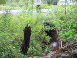 Culvert Crossing, Magotty Meadow Brook at Route 197, Litchfield, Maine