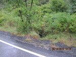 Culvert Crossing, Magotty Meadow Brook at Route 197, Litchfield, Maine