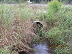 Culvert Crossing, Magotty Meadow Brook at Route 197, Litchfield, Maine