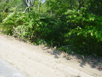 Culvert Crossing, Magotty Meadow Brook at Small Rd, Litchfield, Maine