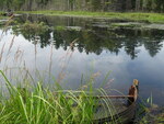 Culvert Crossing, Mahar Brook at Beavertail, Baring Plt, Maine