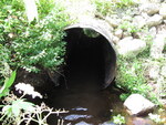 Culvert Crossing, Mahor Brook at Beaver Trail, Baring Plt, Maine