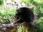 Culvert Crossing, Mahor Brook at Beaver Trail, Baring Plt, Maine