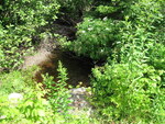 Culvert Crossing, Mahor Brook at Beaver Trail, Baring Plt, Maine