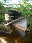 Culvert Crossing, Main Stream at Unnamed Off Black Road, Prospect, Maine
