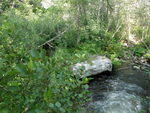 Culvert Crossing, Mann Brook at Route 1, Dedham, Maine